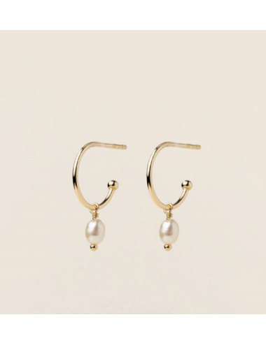 ORECCHINI CERCHIO LOBO...